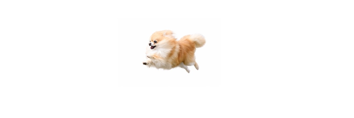 gelodofreezer's profile banner image