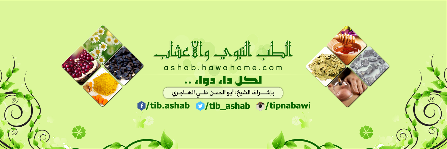 tib_ashab's profile banner image