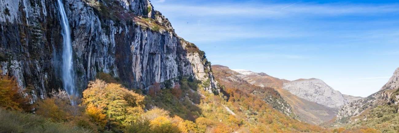 Living 𓆩𓆪 banner