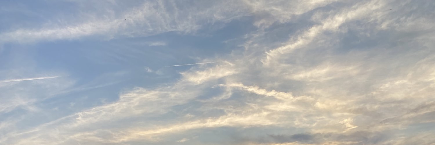 Michelle_PT_'s profile banner image