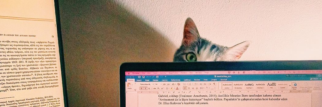 Aytek Soner Alpan banner