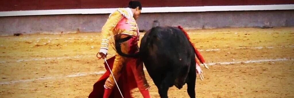 _eltoreo_'s profile banner image