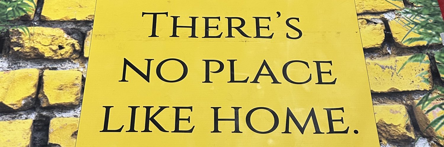 Dani Quin ⚜️'s banner