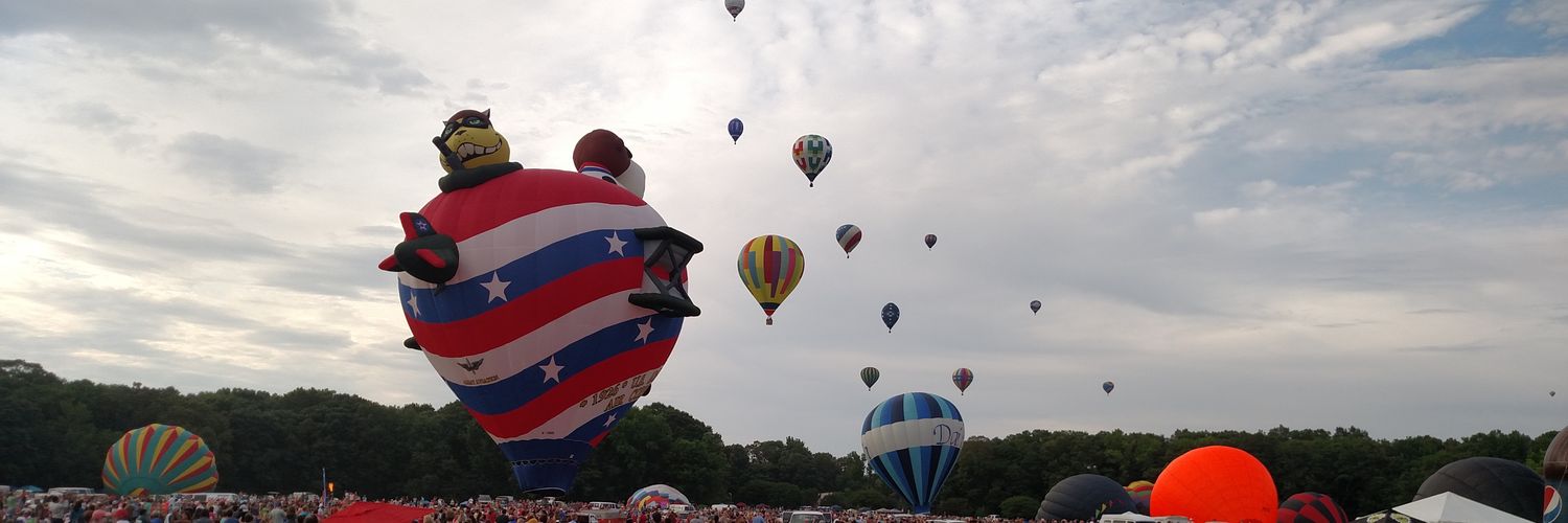 Paula Johnson banner