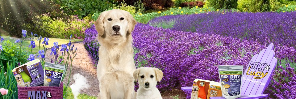 maxandlucy2's profile banner image