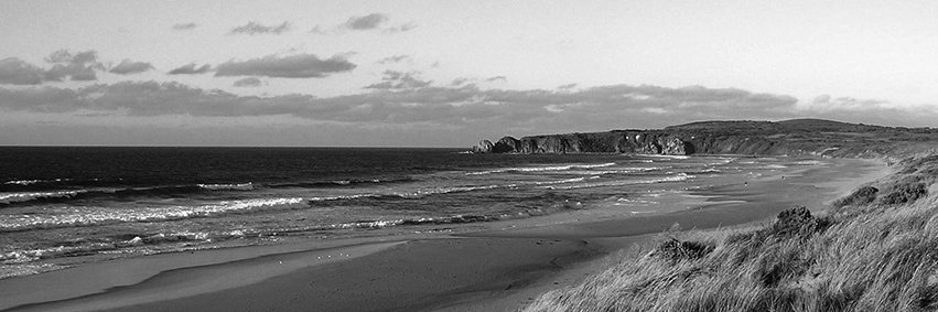 Mr Borderless banner