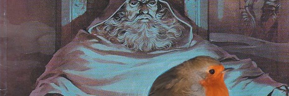 robin banner