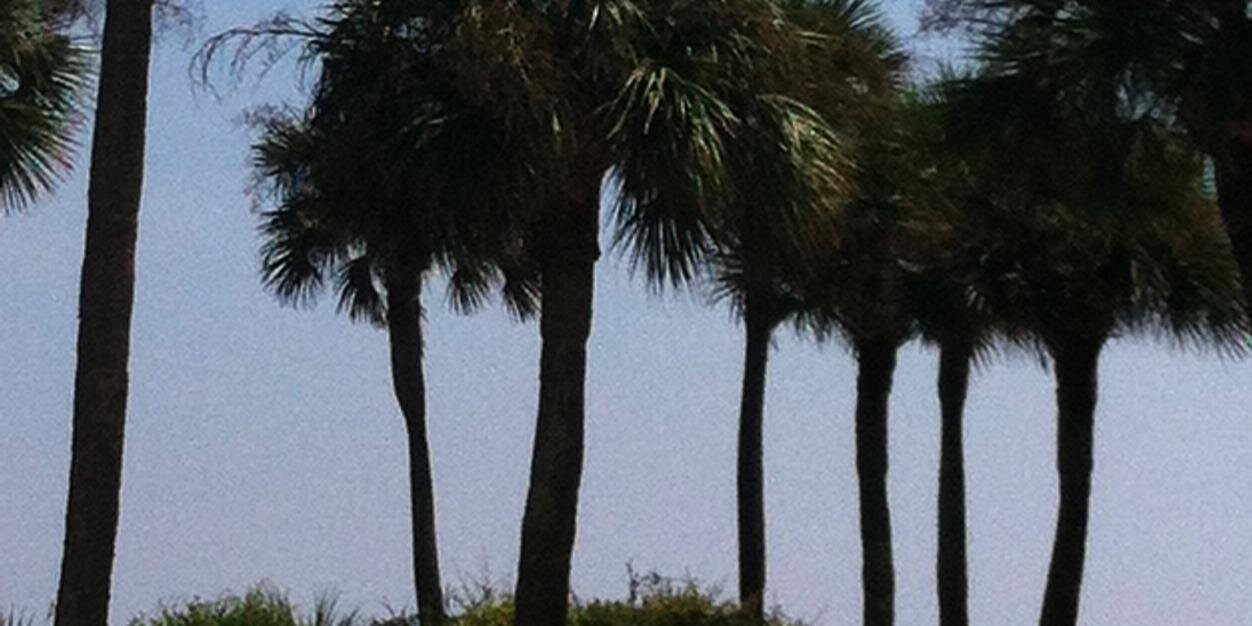 kellyaowens's profile banner image