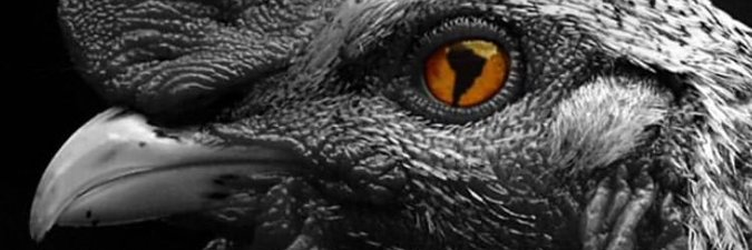 AleChris1908's profile banner image