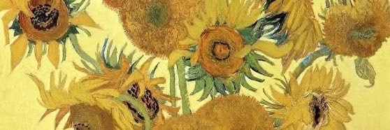 claraaklr's profile banner image