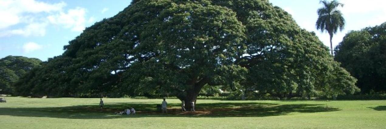 猪木 俊宏（いぎ） banner