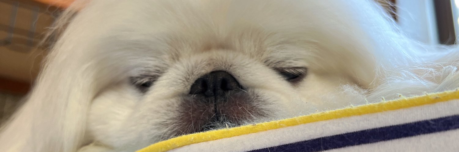 FLlqpy's profile banner image