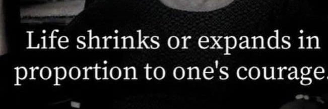 Celeste Weston banner