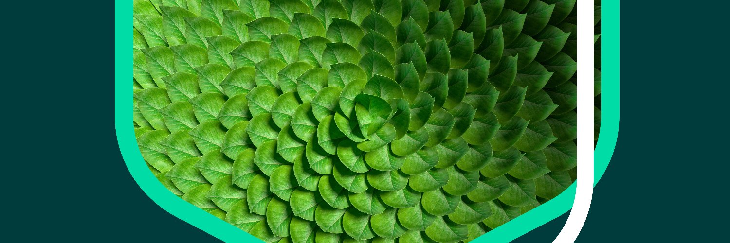 The Exeter MBA banner