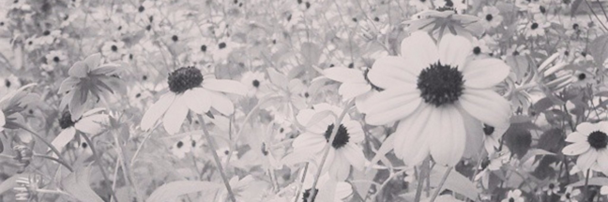 __kindly's profile banner image