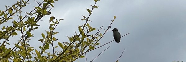 FDB9C8 Profile Banner
