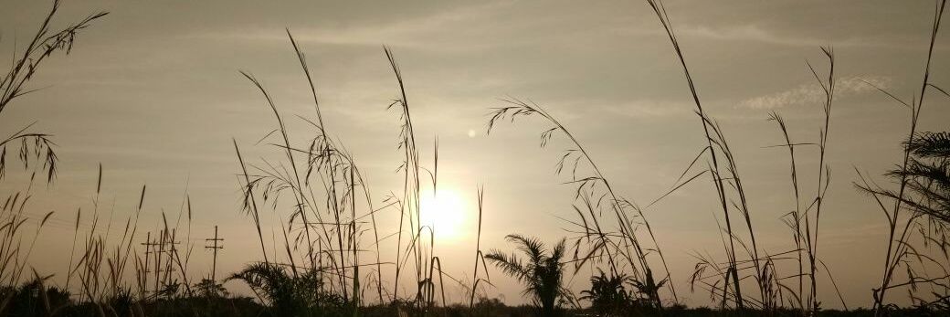 iyo_nelna's profile banner image