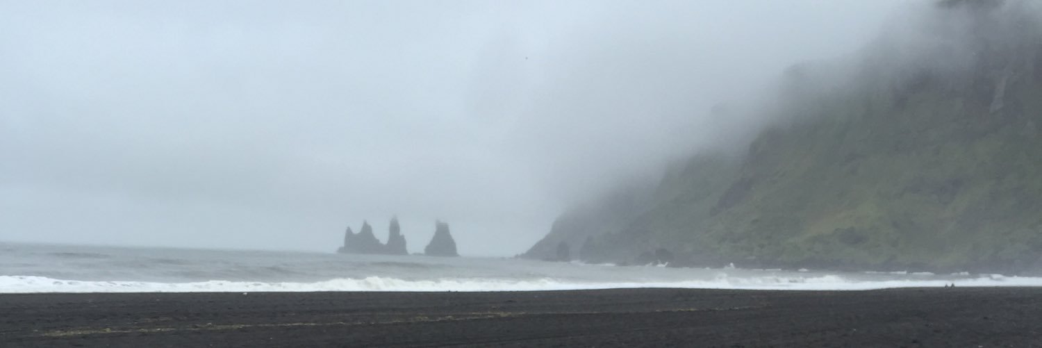 Michael Berardini banner