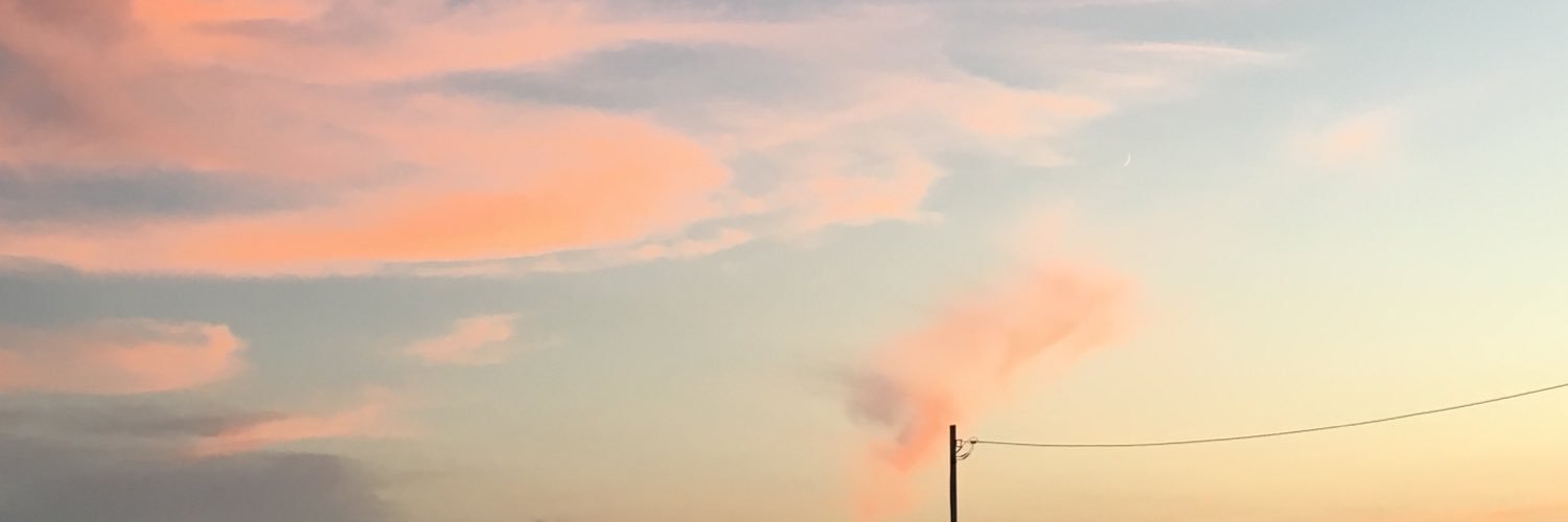 llovetorippi's profile banner image