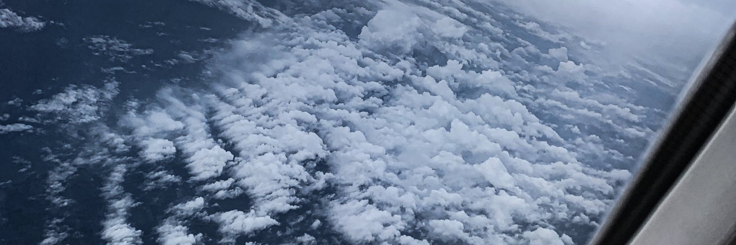 Brittanie 🦥 banner