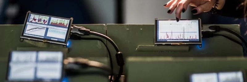 Roxana Rădulescu banner