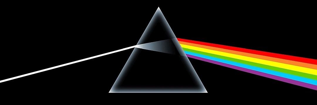Lentinistef's profile banner image