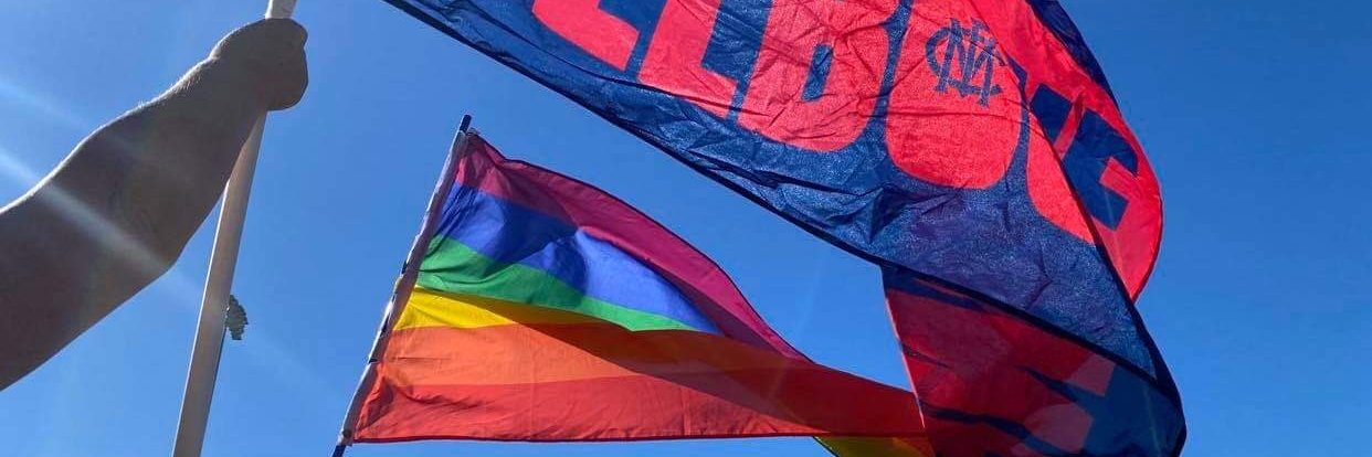 The Ruby Demons banner