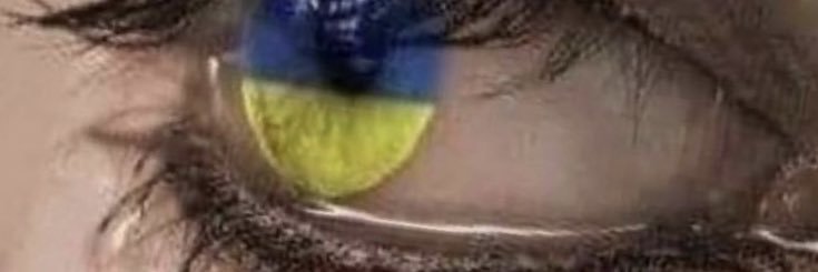 JeniDSM's profile banner image