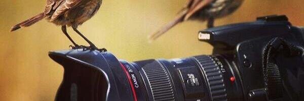 ronny_11's profile banner image