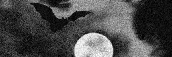 11johnn Profile Banner
