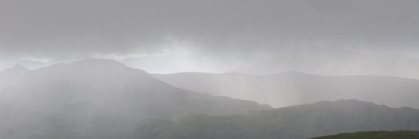 RosEcologist Profile Banner