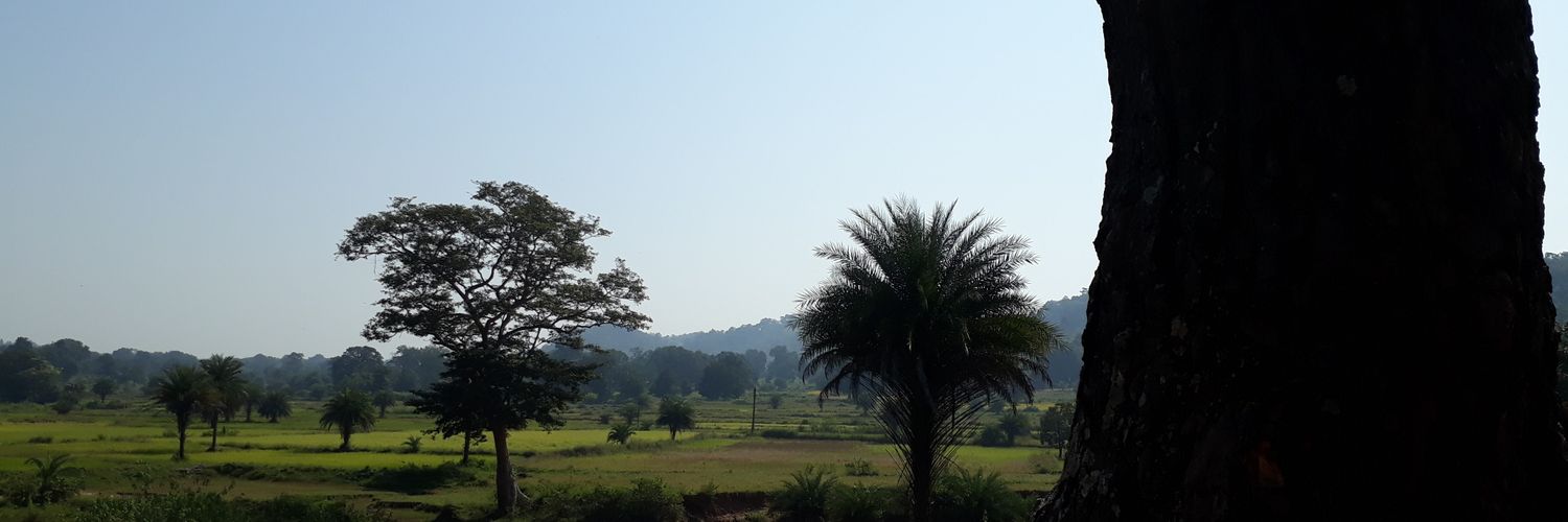RypSwapnil's profile banner image