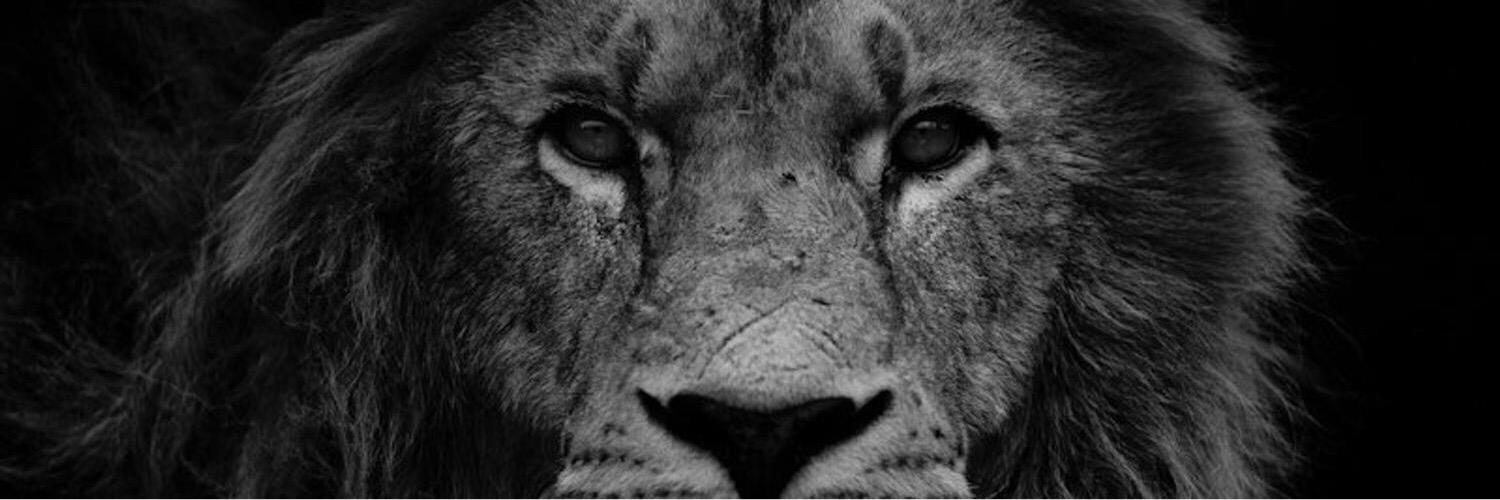 Norman Watters banner