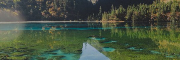 BassUnder Profile Banner