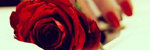 shohj2's profile banner image