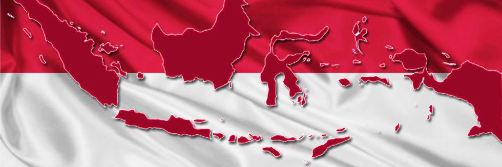 IMMAPSIJATIM banner