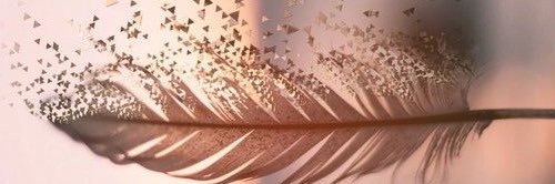 iamLhen_II's profile banner image