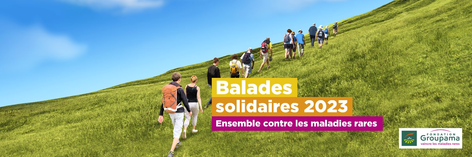 FdGroupama24 banner