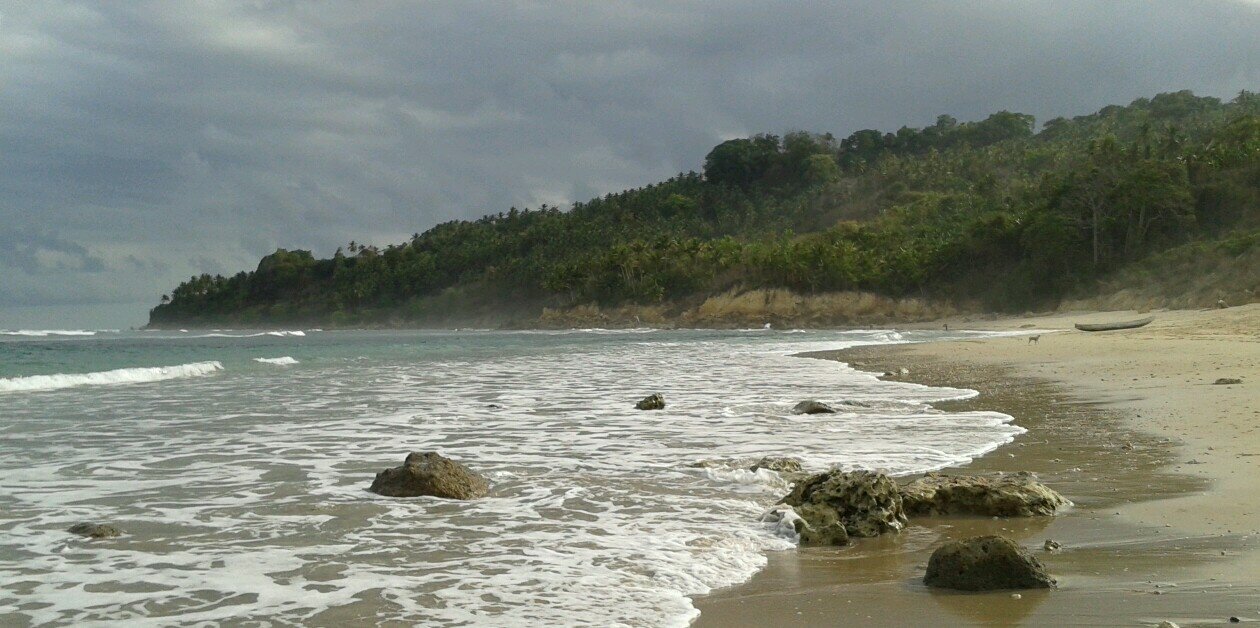 ditasuftandar's profile banner image