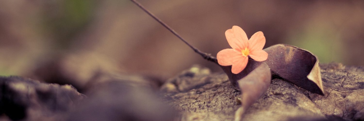 CarrilynnRN's profile banner image