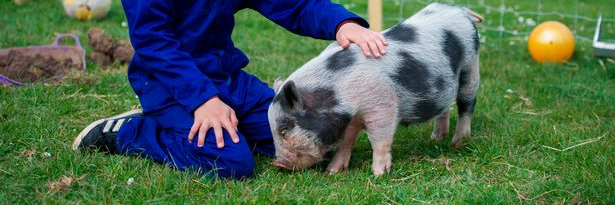 Gilbrook School banner