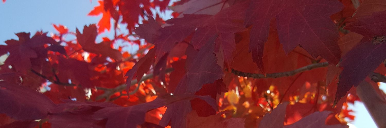 krystilena's profile banner image