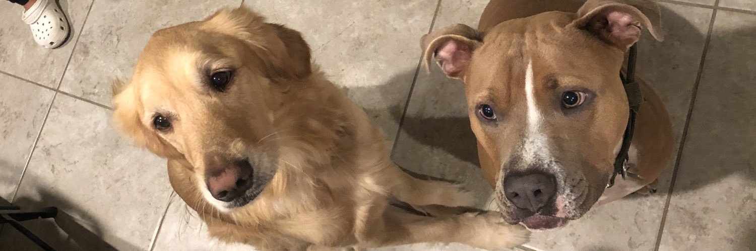 camrynarleen's profile banner image