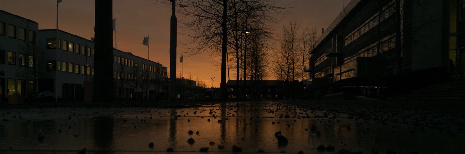 LittlebigTham's profile banner image