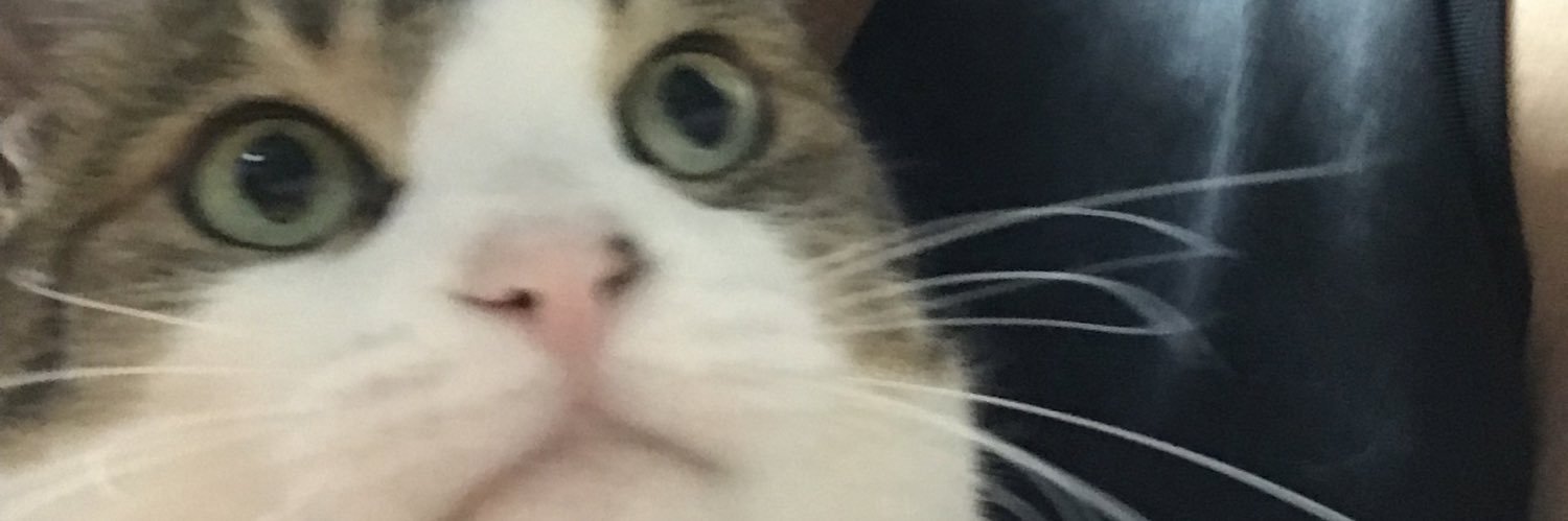 tzuzu2's profile banner image
