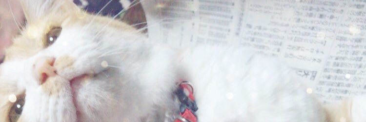 mithRK's profile banner image