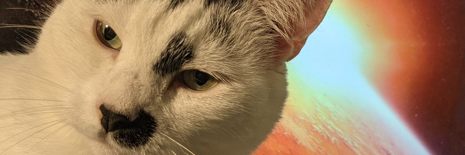 FamilyHouse's profile banner image