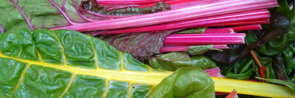 SomersetFarmersMkts banner