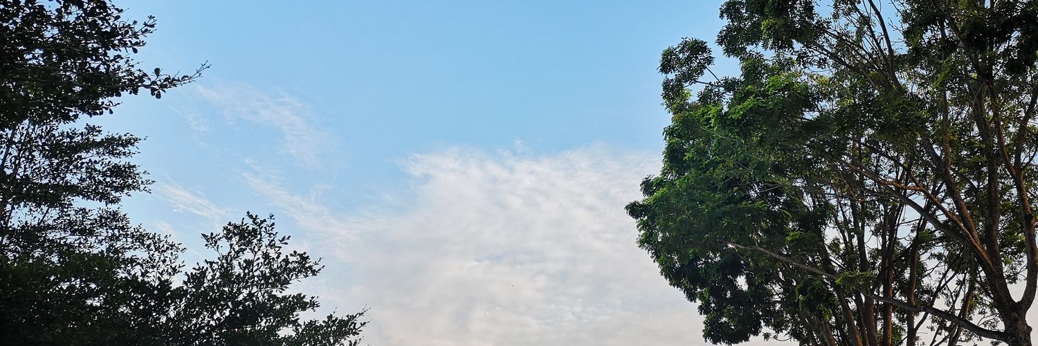 eirmarohayu's profile banner image