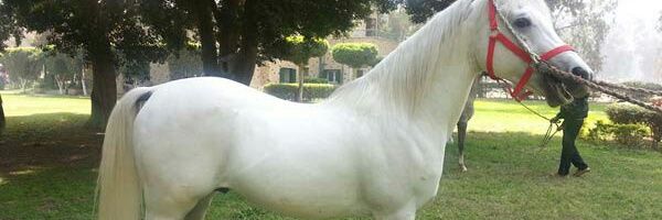 kk250859's profile banner image